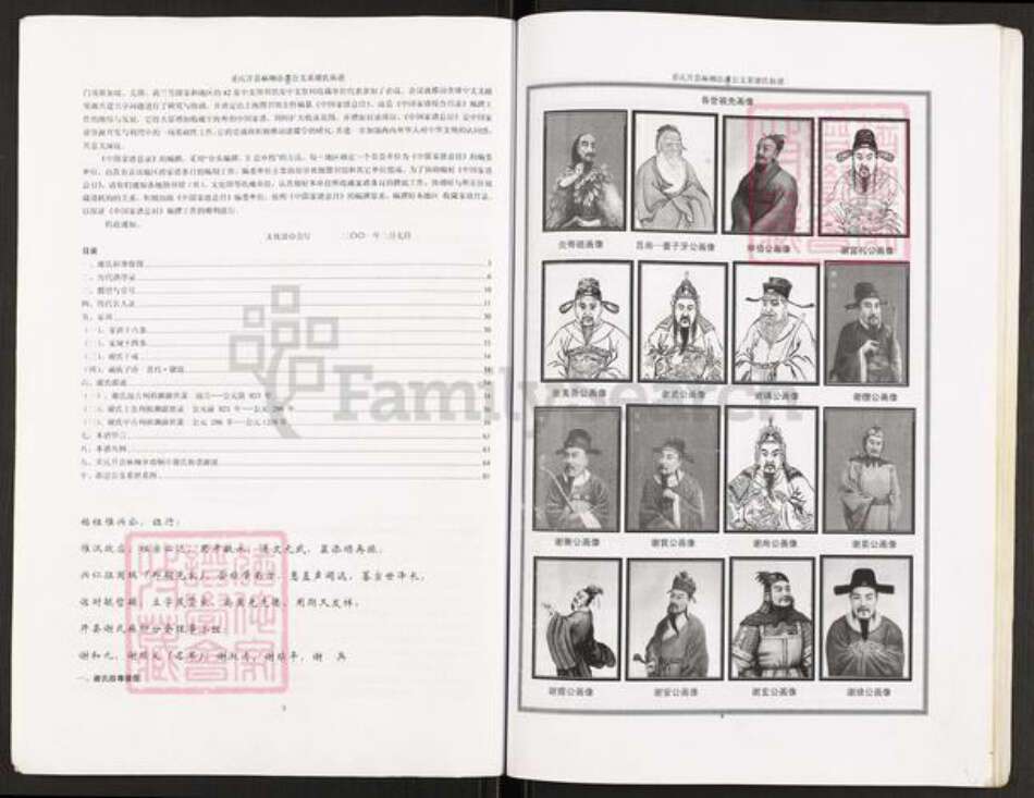 重庆市开州区谢氏族谱-谢氏族谱.重庆开县麻柳添忍公支系.pdf电子版预览图2