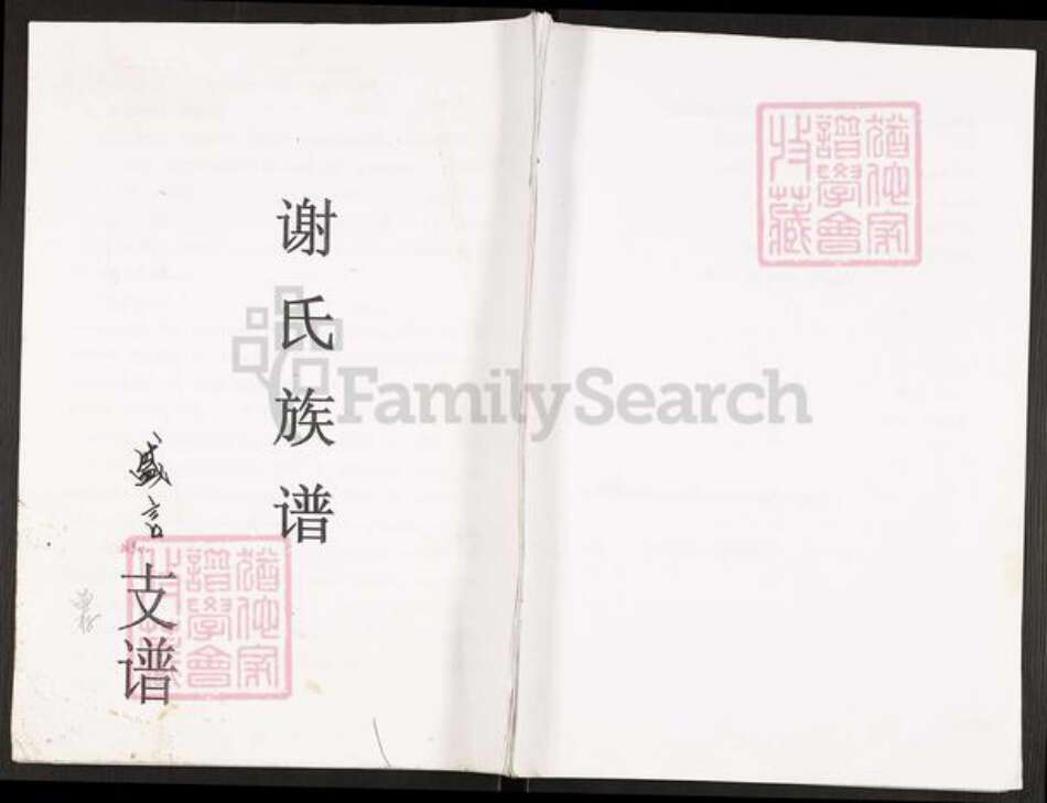 重庆市开州区谢氏族谱-谢氏族谱.pdf电子版缩略图