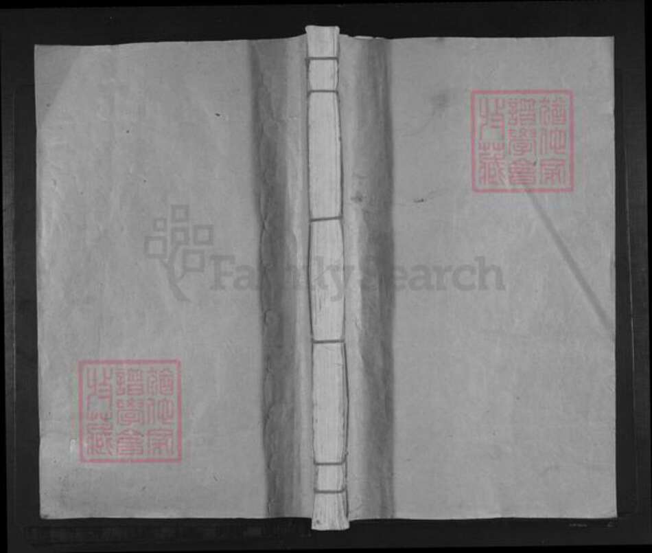 江西省赣州市信丰县谢氏族谱-谢氏八修族谱.pdf电子版缩略图