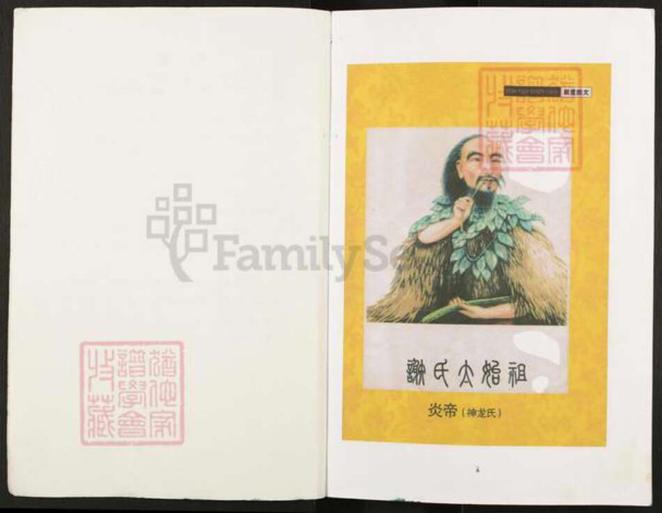 重庆市开州区谢氏宝树堂族谱-谢氏族谱.pdf电子版预览图3