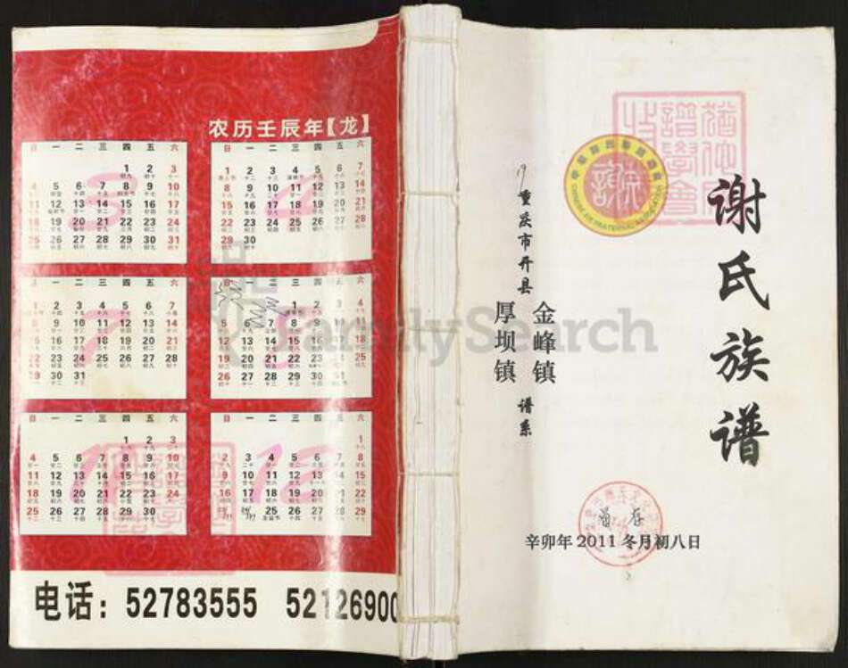 重庆市开州区谢氏宝树堂族谱-谢氏族谱.pdf电子版缩略图