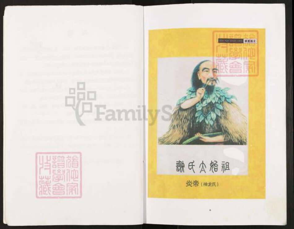 重庆市开州区谢氏宝树堂族谱-谢氏族谱.pdf电子版预览图3