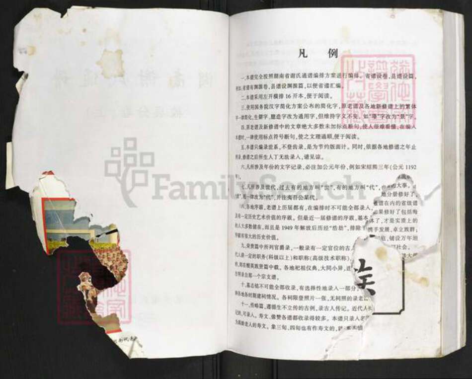 湖南省株洲市攸县黄丰桥镇谢氏族谱-湖南谢氏通谱.攸县分卷.pdf电子版预览图2