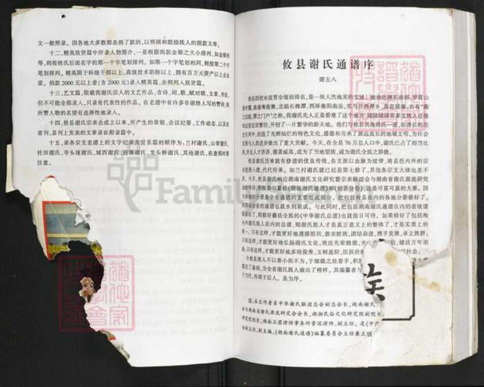 湖南省株洲市攸县黄丰桥镇谢氏族谱-湖南谢氏通谱.攸县分卷.pdf电子版预览图3