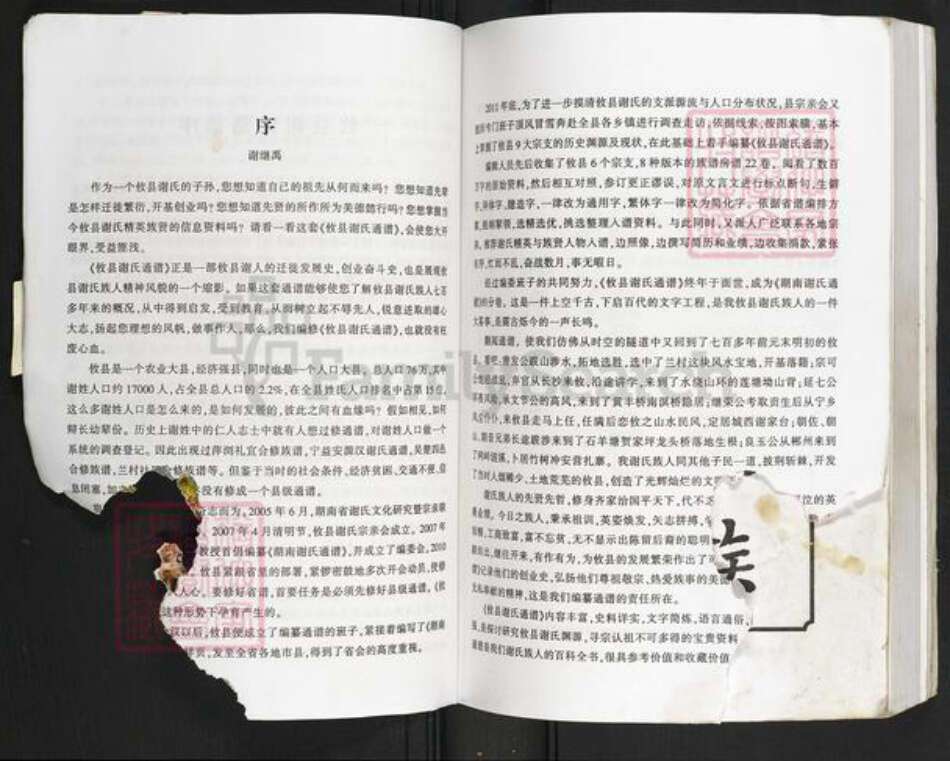 湖南省株洲市攸县黄丰桥镇谢氏族谱-湖南谢氏通谱.攸县分卷.pdf电子版预览图4