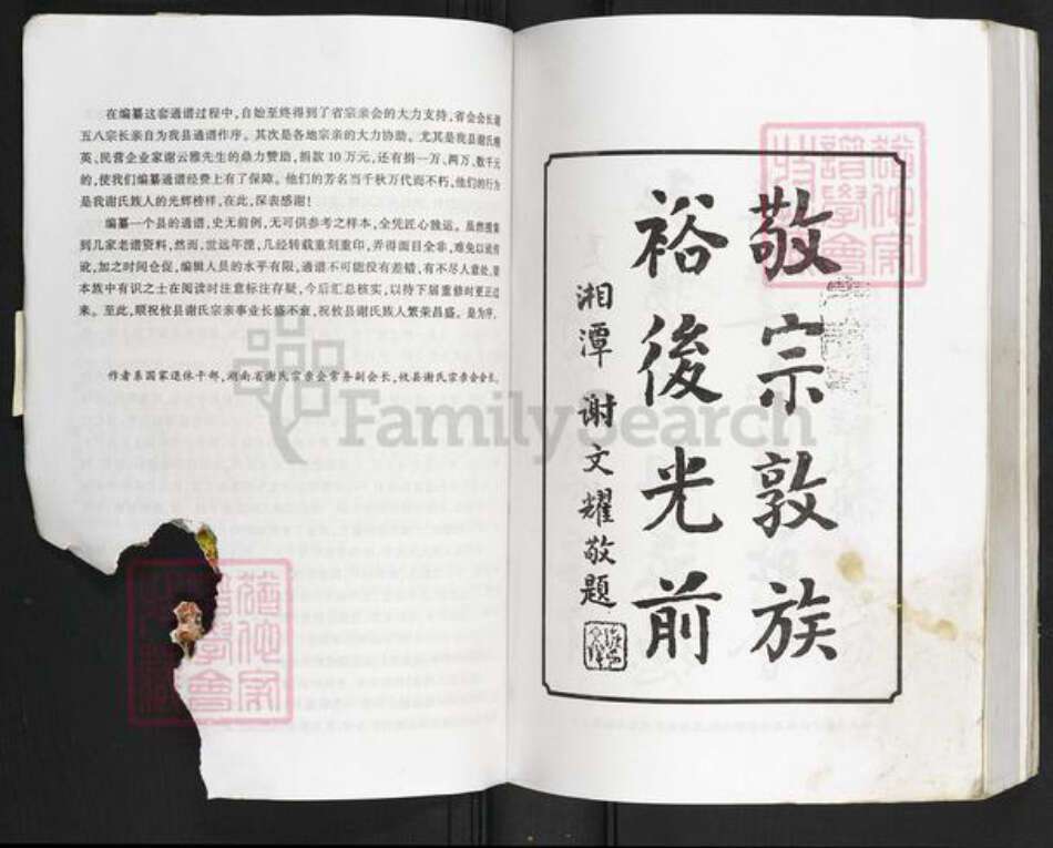 湖南省株洲市攸县黄丰桥镇谢氏族谱-湖南谢氏通谱.攸县分卷.pdf电子版预览图5