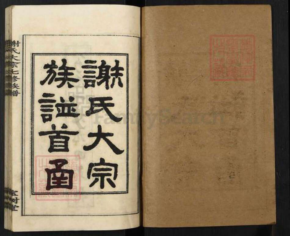 湖南省湘潭市湘乡市湘乡谢氏宝树堂族谱-谢氏大宗七修族谱.pdf电子版预览图1