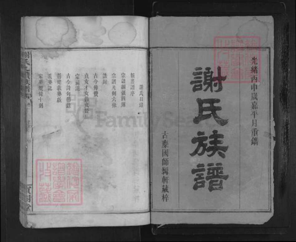 湖南省岳阳市临湘市临湘谢氏宝树堂族谱-南庄谢氏九续族谱.pdf电子版预览图1