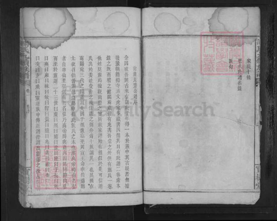 湖南省岳阳市临湘市临湘谢氏宝树堂族谱-南庄谢氏九续族谱.pdf电子版预览图2