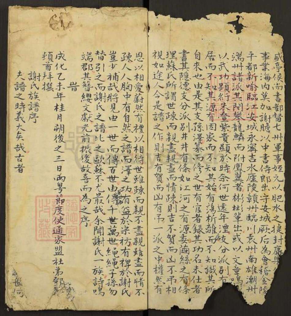 湖南省永州市东安县谢氏族谱-Missing Title.pdf电子版预览图2