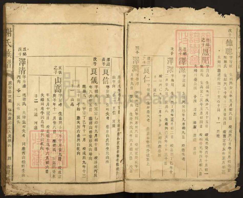 江西省赣州市南康区谢氏陈留堂族谱-谢氏族谱.pdf电子版缩略图