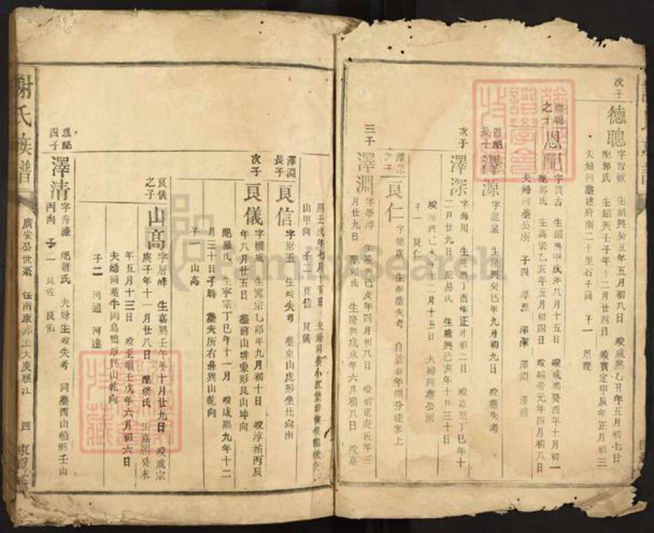 江西省赣州市南康区谢氏陈留堂族谱-谢氏族谱.pdf电子版预览图3