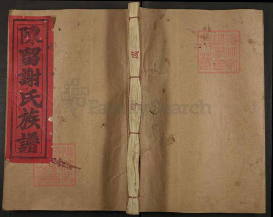 江西省抚州市广昌县谢氏族谱-陈留郡谢氏十修族谱.pdf电子版缩略图