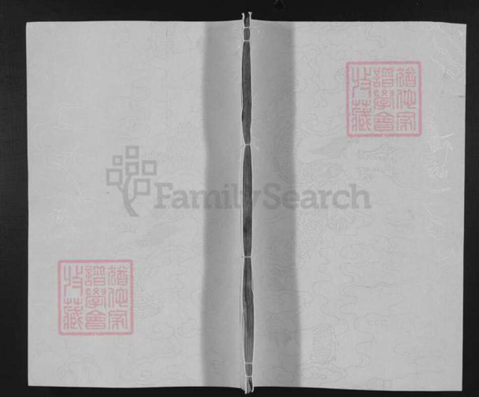 湖南省邵阳市邵东谢氏族谱-邵陵谢氏族谱.pdf电子版缩略图