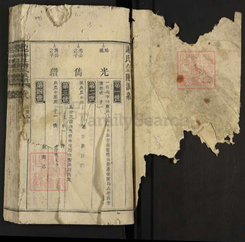 湖南省娄底市新化县奉家镇谢氏族谱-新化坪上谢氏族谱.pdf电子版预览图1