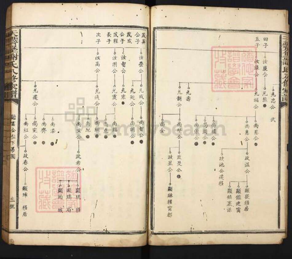 江西省吉安市吉水县谢氏族谱-天霁堡谢氏八修家谱.pdf电子版预览图3