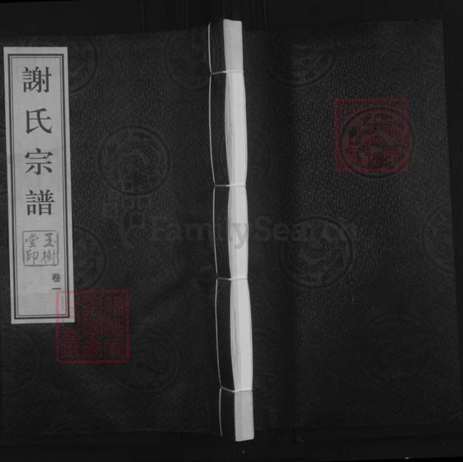 江苏省常州市武进县谢氏玉树堂族谱-谢氏宗谱.pdf电子版缩略图