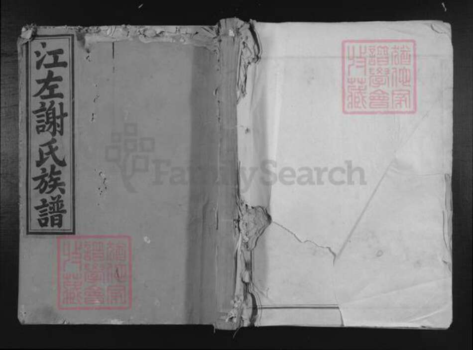 福建省谢氏族谱-江左谢氏族谱.pdf电子版缩略图