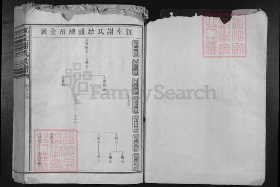 福建省谢氏族谱-江左谢氏族谱.pdf电子版预览图1