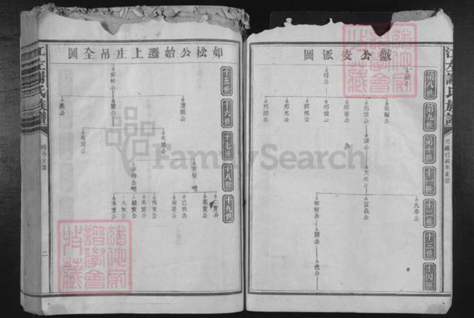 福建省谢氏族谱-江左谢氏族谱.pdf电子版预览图2