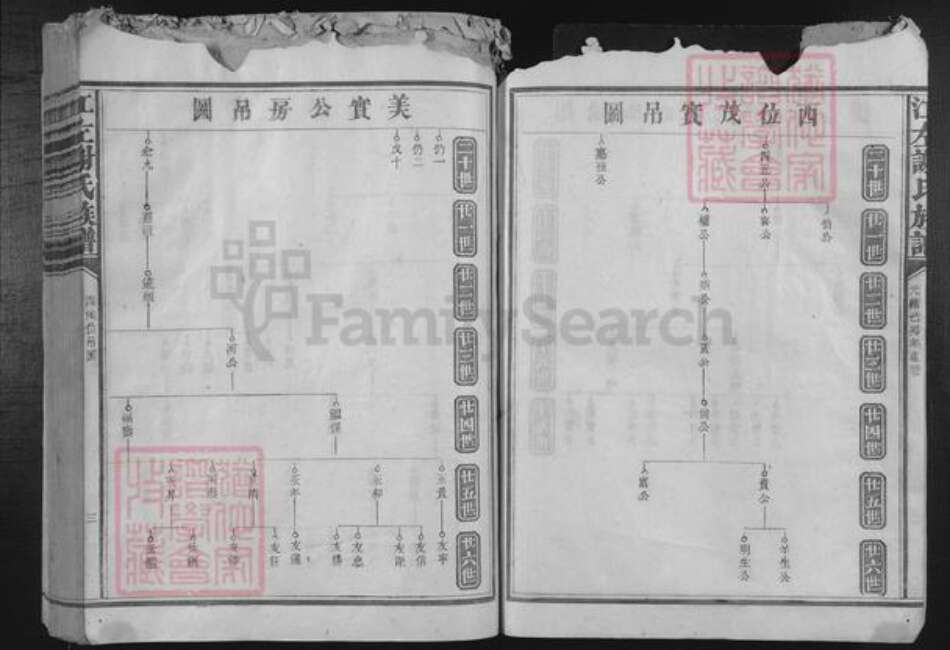 福建省谢氏族谱-江左谢氏族谱.pdf电子版预览图3