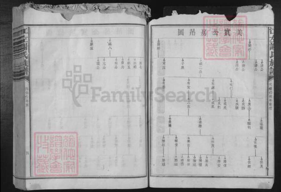 福建省谢氏族谱-江左谢氏族谱.pdf电子版预览图4