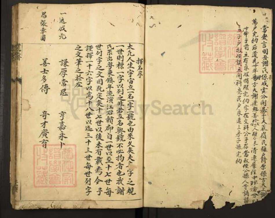 江西省赣州市谢氏东山堂族谱-谢氏家谱.pdf电子版预览图1