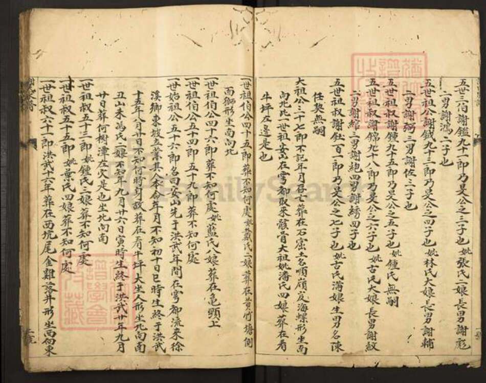 江西省赣州市谢氏东山堂族谱-谢氏家谱.pdf电子版预览图3