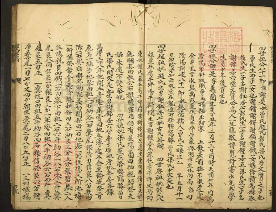 江西省赣州市谢氏东山堂族谱-谢氏家谱.pdf电子版预览图5