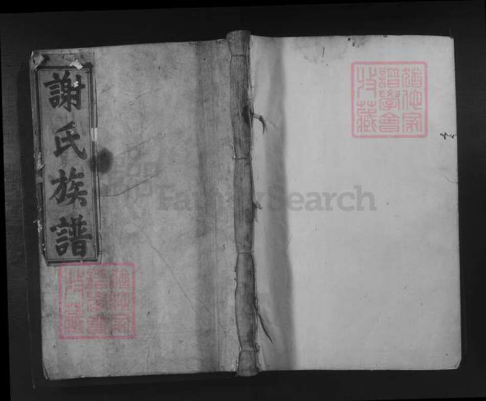 福建省三明市建宁县谢氏族谱-陈留谢氏八修族谱.pdf电子版缩略图