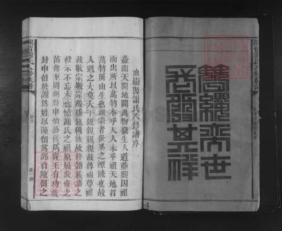 福建省三明市建宁县谢氏族谱-陈留谢氏八修族谱.pdf电子版预览图1