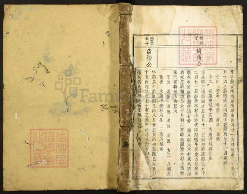 江西省赣州市宁都县谢氏族谱-东山谢氏三修族谱.pdf电子版缩略图