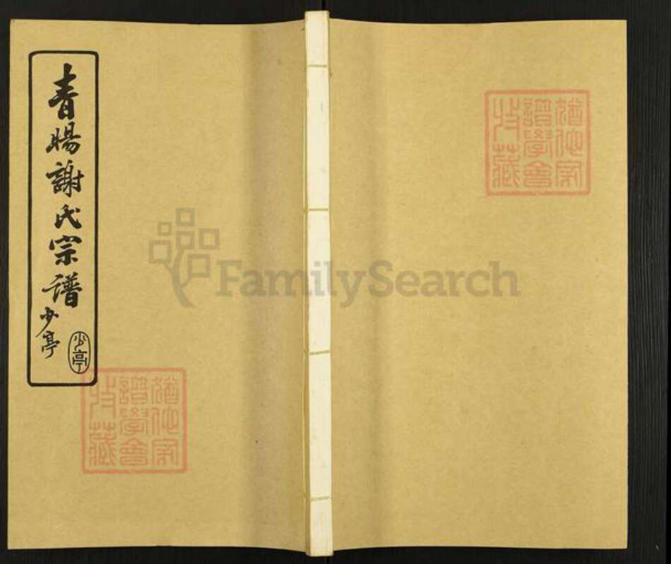 江苏省无锡市江阴市青阳镇谢氏宝树堂族谱-青旸谢氏宗谱.pdf电子版缩略图