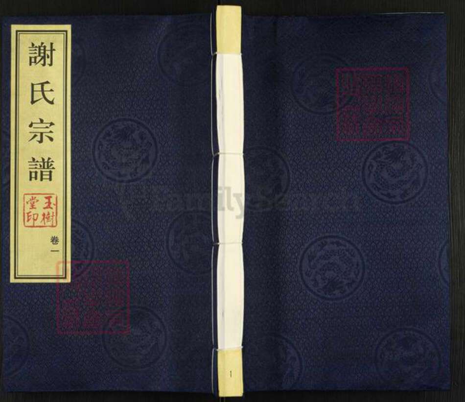 江苏省常州市武进县谢氏玉树堂族谱-谢氏宗谱.pdf电子版缩略图