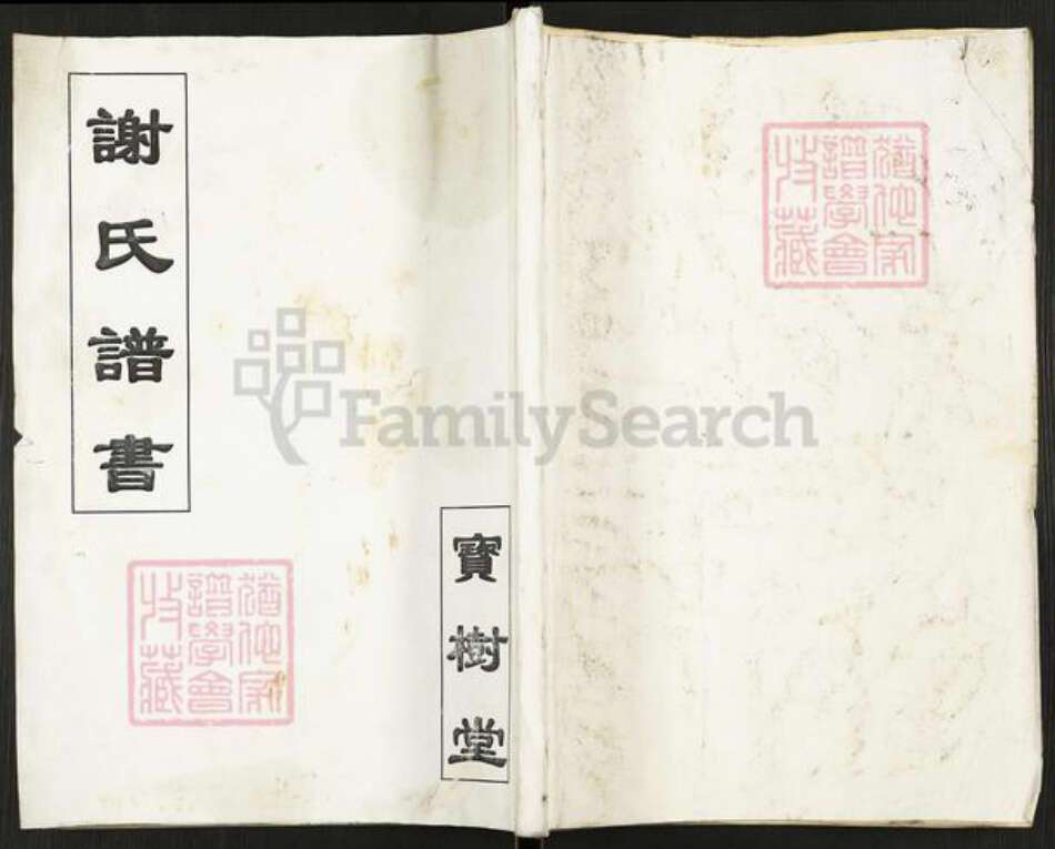 江苏省扬州市高邮市谢氏宝树堂族谱-谢氏谱书.pdf电子版缩略图