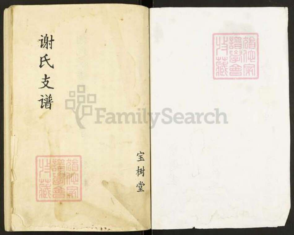 江苏省扬州市高邮市谢氏宝树堂族谱-谢氏谱书.pdf电子版预览图1