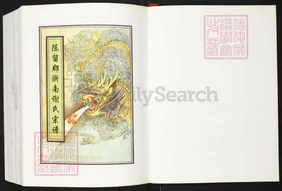 浙江省绍兴上虞区谢氏族谱-浙南谢氏宗谱.pdf电子版预览图2