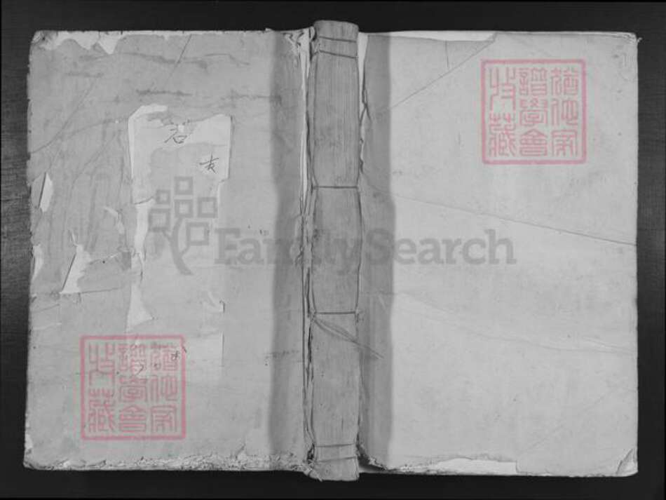 福建省三明市建宁县里心镇谢氏族谱-董家坊谢氏宗谱.pdf电子版缩略图