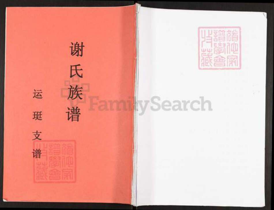 重庆市开州区谢氏族谱-谢氏族谱.运珽支谱.pdf电子版缩略图