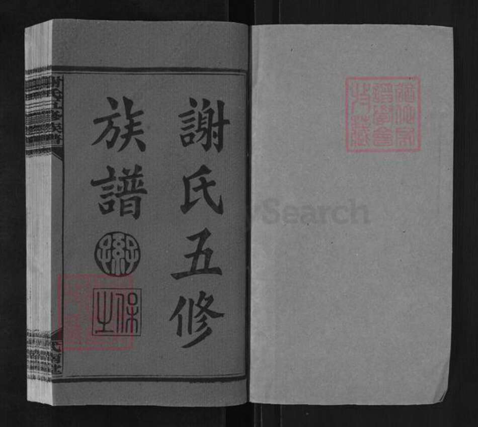 湖南省娄底市冷水江市禾青镇谢氏式南堂族谱-谢氏五修族谱.pdf电子版预览图1