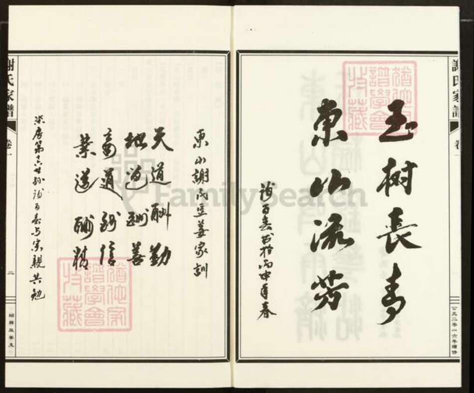 浙江省绍兴越城区谢氏玉树堂族谱-东山谢氏宗谱.pdf电子版预览图2