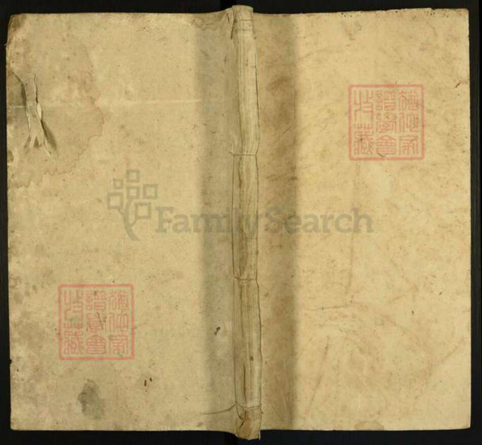 谢氏族谱-谢氏族谱.pdf电子版缩略图