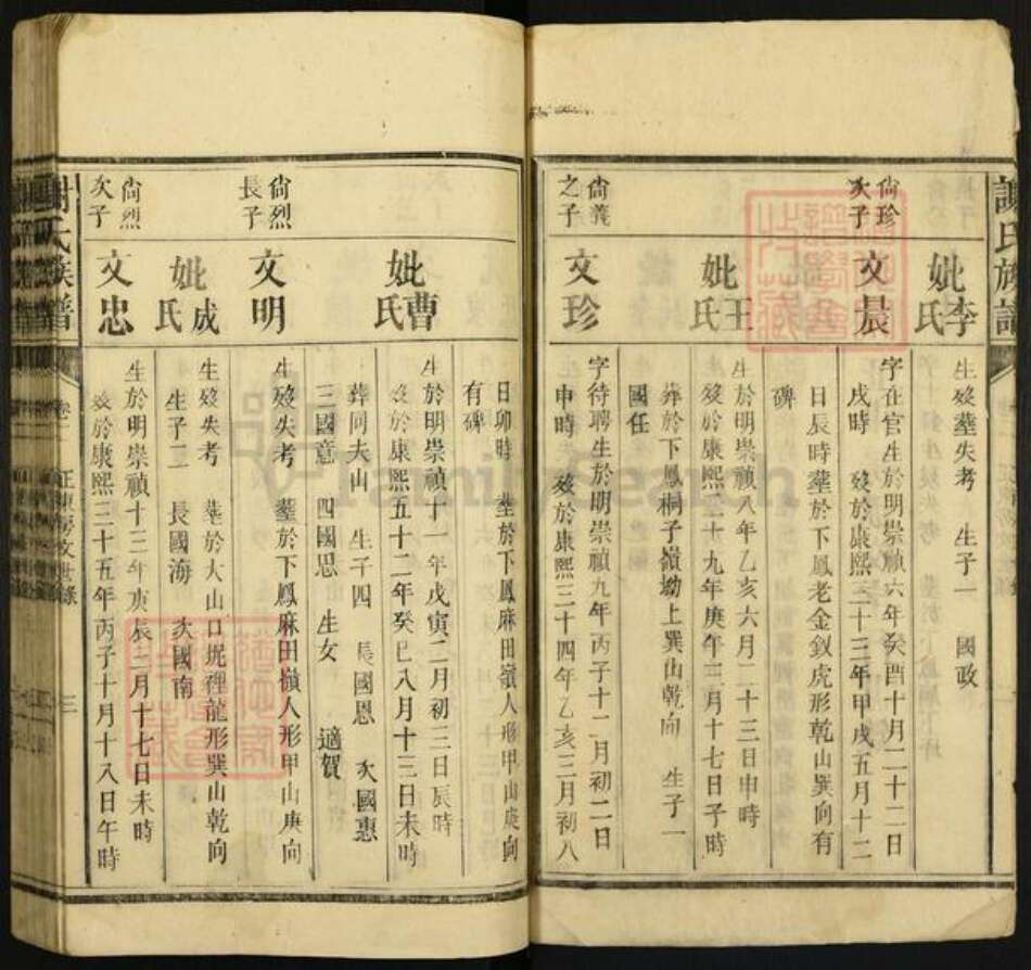 谢氏族谱-谢氏族谱.pdf电子版预览图3