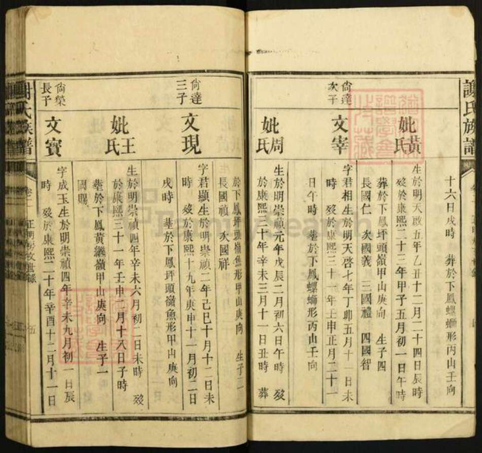 谢氏族谱-谢氏族谱.pdf电子版预览图5