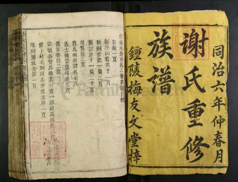 江西省赣州市崇义县江西省赣州市崇义县谢氏友文堂族谱-木砦谢氏二修族谱.pdf电子版预览图1