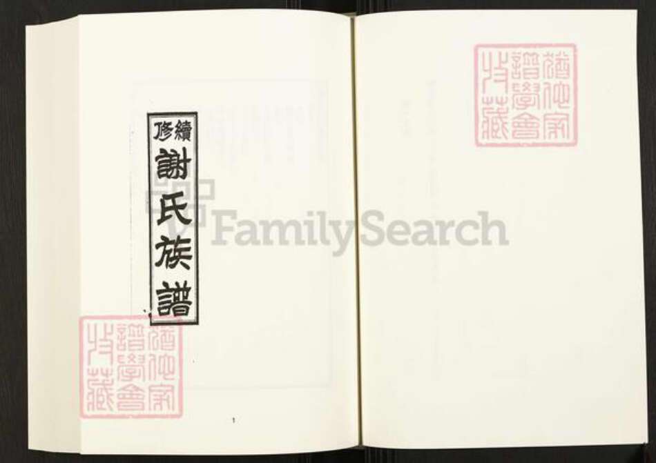 四川省成都市成华区四川省谢氏族谱-中国珍稀家谱丛刊.四川家谱.第17册.续修谢氏族谱.pdf电子版预览图3