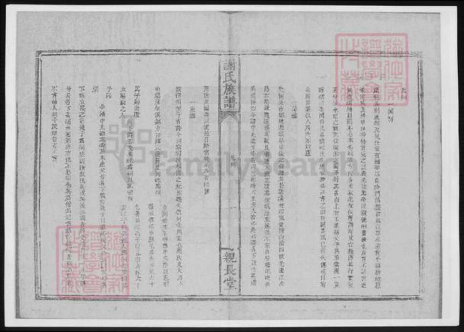 湖南省岳阳市谢氏族谱-谢氏族谱.pdf电子版预览图4