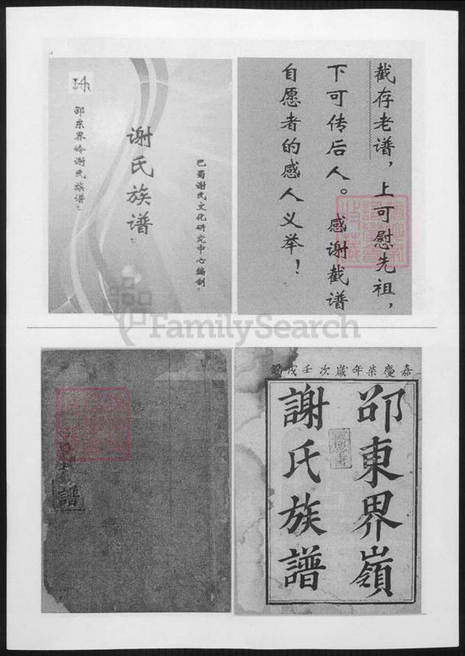 湖南省邵阳市邵东谢氏族谱-谢氏族谱.pdf电子版缩略图