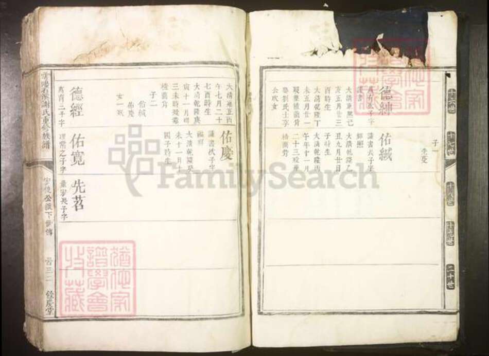 江西省谢氏族谱-雩都石溪谢氏重修族谱[不分卷].pdf电子版预览图4