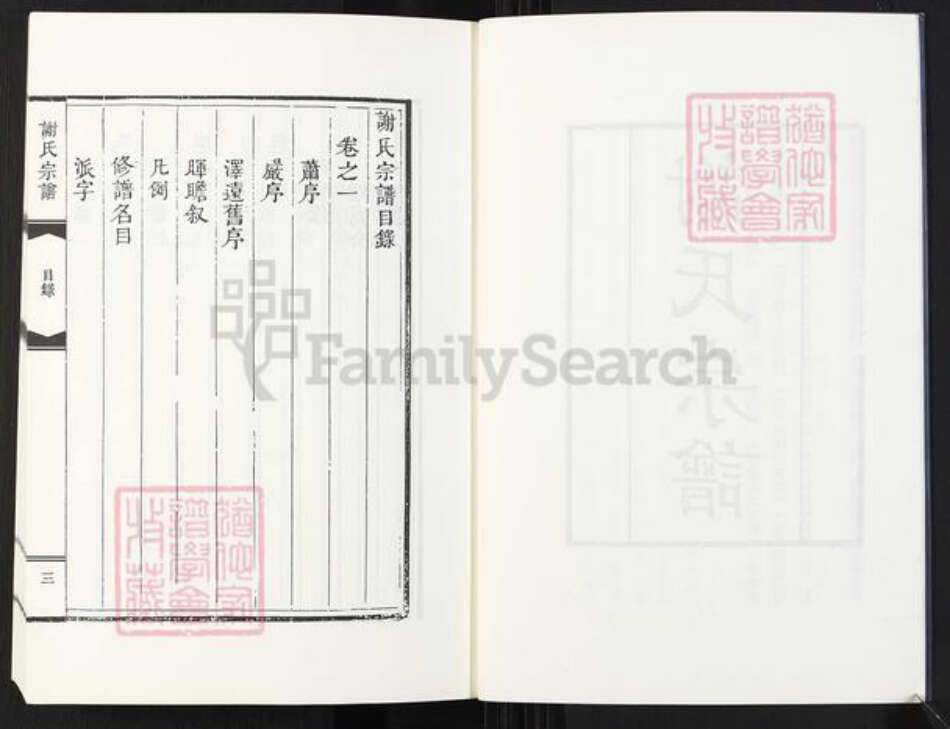 河南省驻马店市新蔡县谢氏族谱-新蔡谢氏宗谱[4卷].pdf电子版预览图4